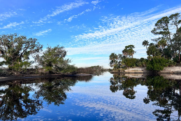 Things To Do Tomoka State Park